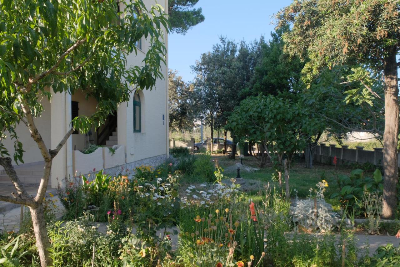 Bosiljka Apartmán Nin