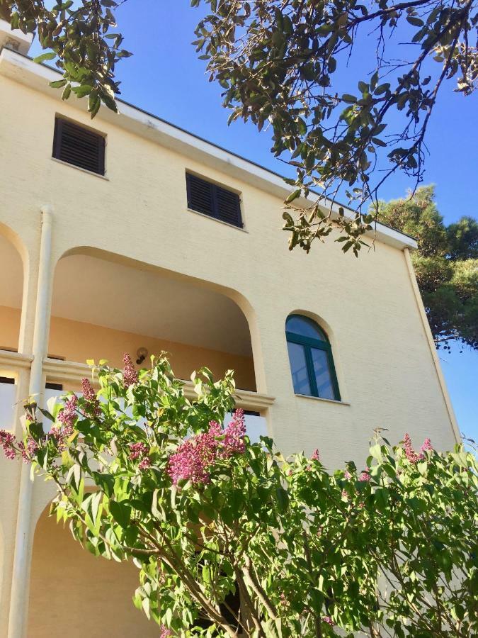 Apartmán Bosiljka Nin